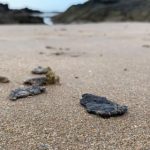 Manchas de petróleo cru voltam a ser encontradas no litoral do Nordeste