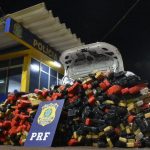 Pandemia auxilia combate ao tráfico de drogas no mundo