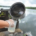 Água de algumas nascentes da sub-bacia do Jacuípe está imprópria para consumo