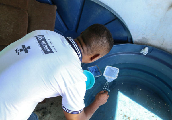Em meio a pandemia do Coronavírus, casos de chikungunya crescem na Bahia