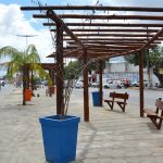 Paisagismo em um dos trechos da avenida João Durval está em fase final