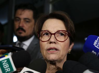 Ministra da Agricultura diz que preço do arroz pode cair com nova safra em janeiro
