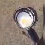 Com calor, ovo frita no asfalto no interior de Minas; veja