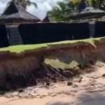 Novo chefe do Ibama na Bahia autoriza obra de resort em Praia do Forte e cancela multa