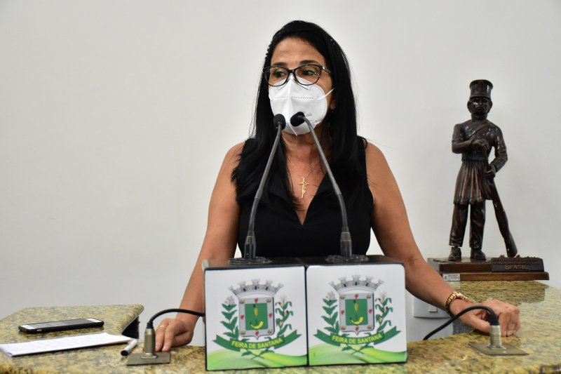 Projeto da Secretaria de Políticas para Mulheres entra em pauta na próxima semana na CMFS