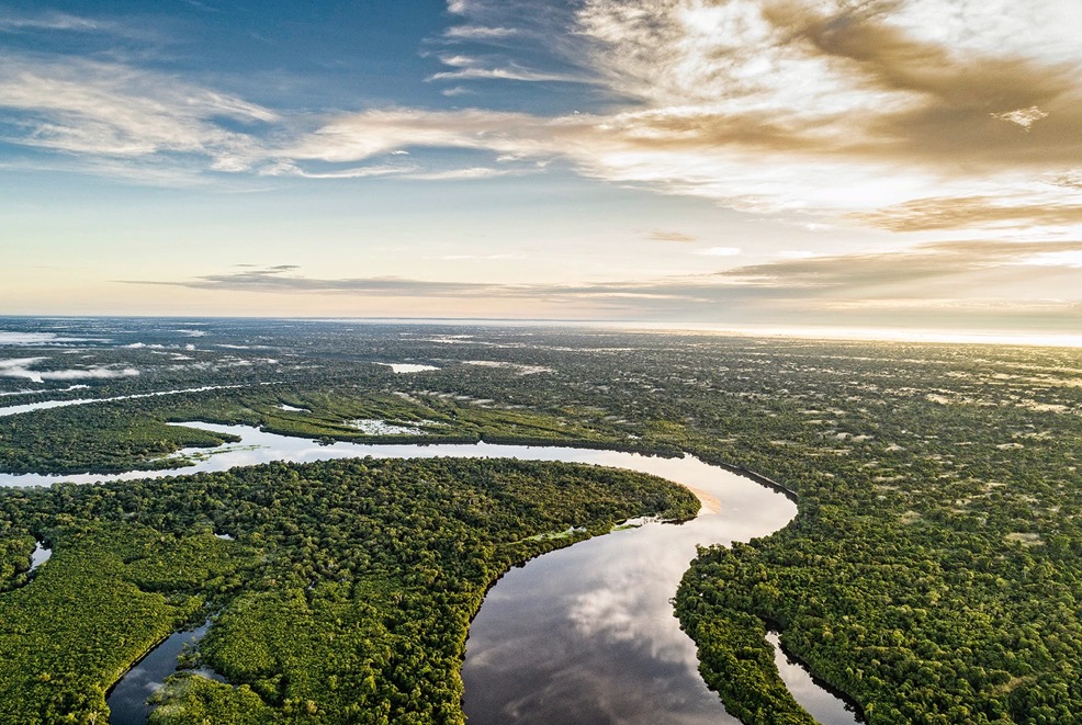 Governo quer criar regras para ONGs atuarem na Amazônia