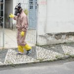 Casos de dengue e chikungunya têm redução de quase 100% em Feira de Santana
