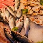 Feira de Santana registra caso de doença infecciosa que tem relação com peixe