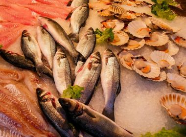 Feira de Santana registra caso de doença infecciosa que tem relação com peixe