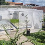 ISAS lança “Lá no Quintal Tem” e beneficia comunidade com cultivo de alface hidrôponico