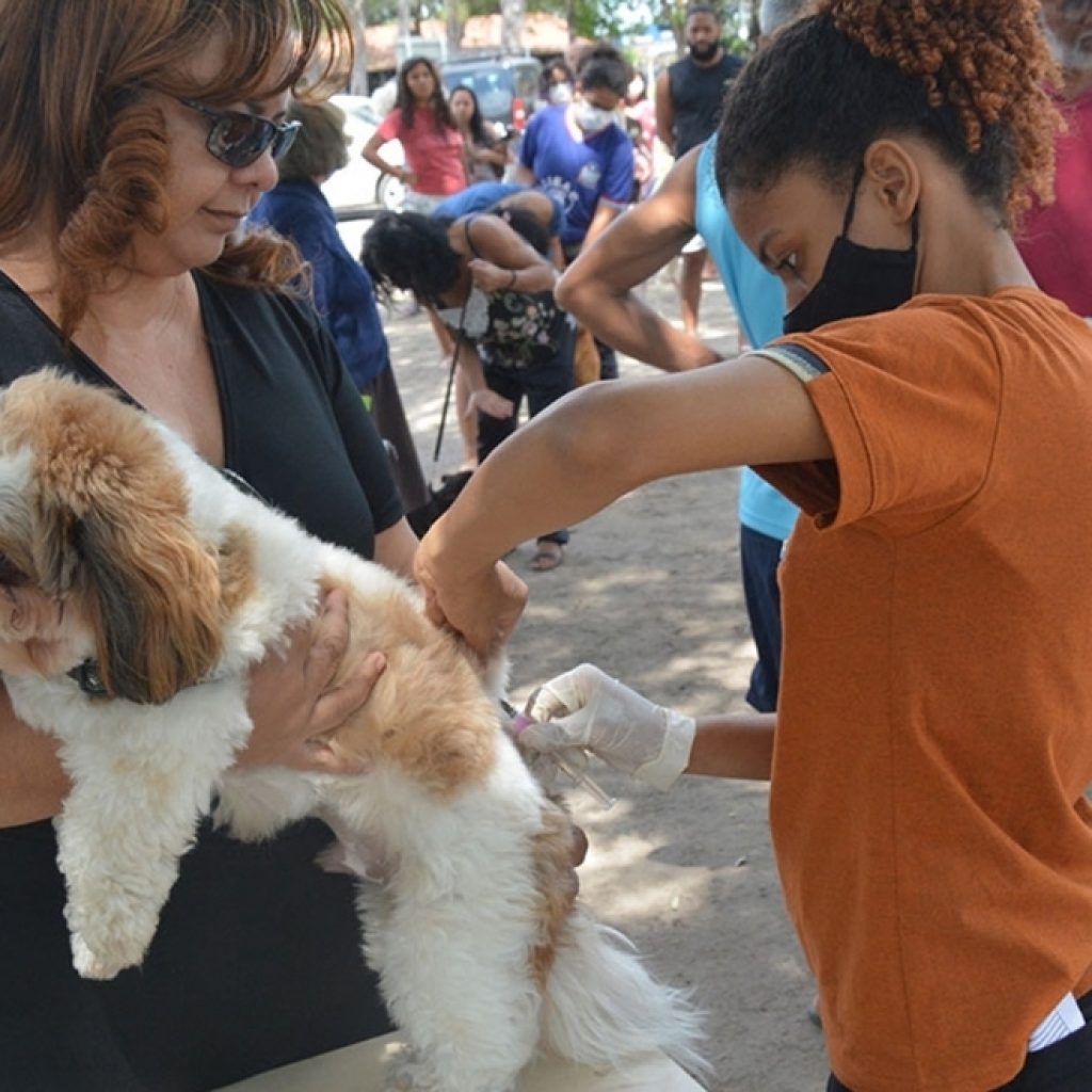 Com baixa procura, Prefeitura intensifica vacinação antirrábica em seis bairros neste sábado