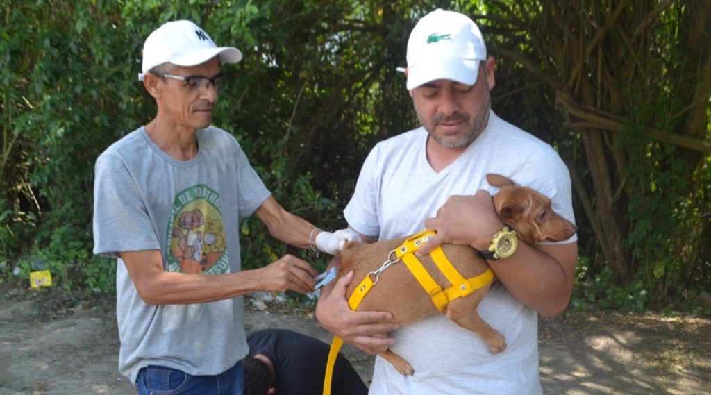 Vacinação contra a raiva ocorre em cinco bairros nesta semana