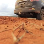Polícia apreende carga ilegal de madeira na BR 101