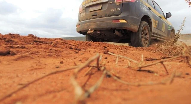 Polícia apreende carga ilegal de madeira na BR 101