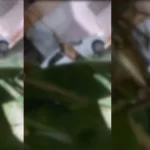 Ato obsceno: casal é flagrado fazendo sexo em carro de portas abertas em plena luz do dia; VEJA VÍDEO