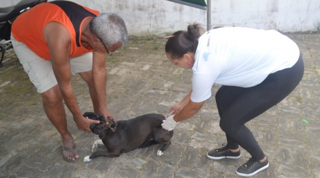 Vacinação contra a raiva ocorre em dez localidades nesta semana