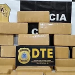 Mais de uma tonelada de maconha já foi apreendida somente neste ano em Feira de Santana