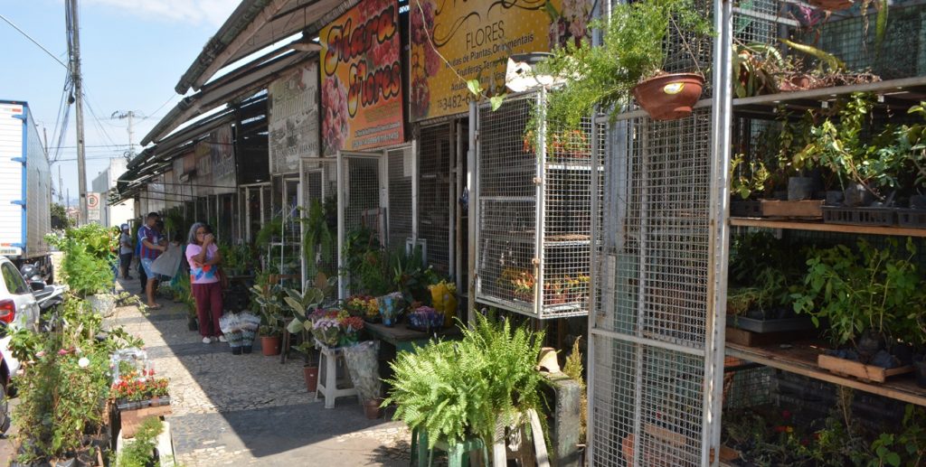 Na véspera do Dia de Finados, floristas comemoram aumento nas vendas