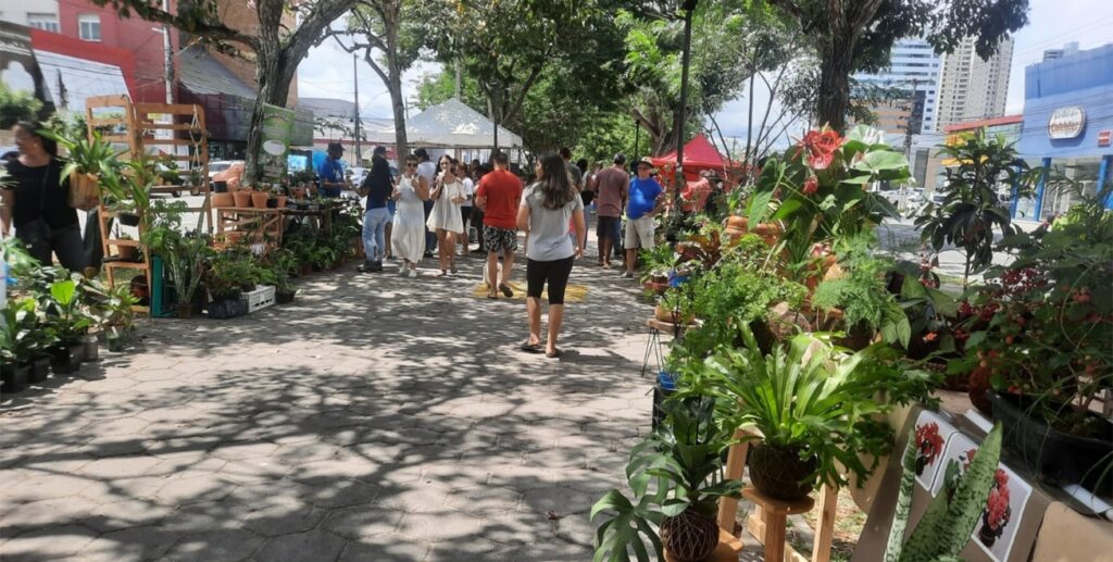 Pagamento do 13º gera perspectiva de aumento nas vendas nas feiras de arte e antiguidade