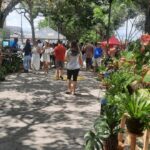 Pagamento do 13º gera perspectiva de aumento nas vendas nas feiras de arte e antiguidade