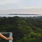 Gisele Bündchen cobra governo Lula sobre desmatamento na Amazônia