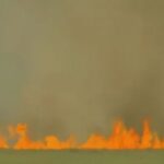 Pantanal registra 2.387 focos de incêndio, um recorde para o mês de novembro