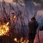 Amazônia em Chamas: MT e MS somam quase 4 mil focos de incêndio em novembro; Pantanal é afetado