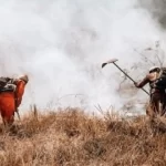 Incêndio florestal é controlado na Serra do Barbado após 13 dias de combate
