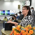“Fui agredida com nomes”, acusa Eremita Mota após cancelar última sessão do ano na Câmara