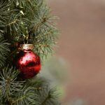 Feliz Natal! Uma reflexão por César Oliveira