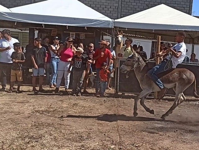 Mesmo com pedido de suspensão, Corrida de Jegue é realizada; advogada diz que evento não apresentou documentação necessária