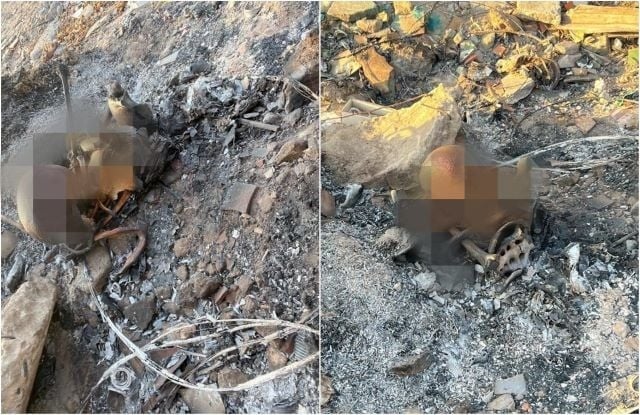 Ossada humana é encontrada no bairro Tomba