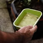 Casos de dengue na Bahia registram crescimento de 33% em 2023