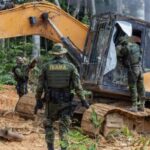 Servidores do Ibama entram em greve e pressionam governo