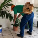 Brasil alcança marca de 512 mil casos prováveis de dengue