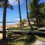 Casamento em praia paradisíaca na Bahia entra na mira do Ministério Público