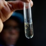 Prefeitura de Feira intensifica monitoramento do aedes com as ovitrampas