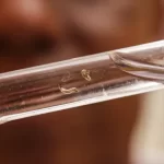 Brasil registra mais de um milhão de casos de dengue em 2024