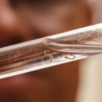 Soma de mortes confirmadas e por suspeitas de dengue em 2024 já passa de mil no Brasil