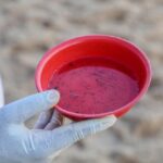 Epidemia de dengue causa 14ª morte no estado; óbitos foram registrados no interior