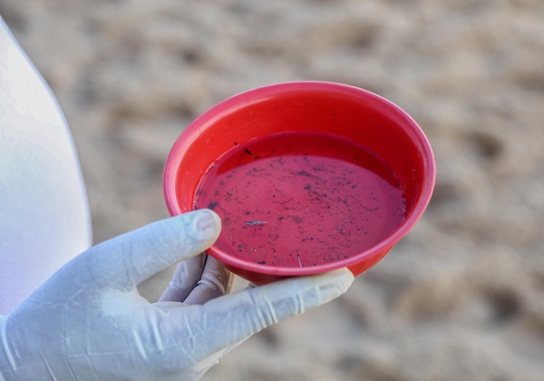 Epidemia de dengue causa 14ª morte no estado; óbitos foram registrados no interior
