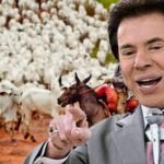 Você sabia? Silvio Santos já foi dono de fazenda com 10 mil cabeças de gado