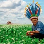 Recado duro dos índios ao governo Lula: “Não precisamos de esmola nem cesta básica”