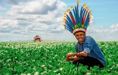 Recado duro dos índios ao governo Lula: “Não precisamos de esmola nem cesta básica”