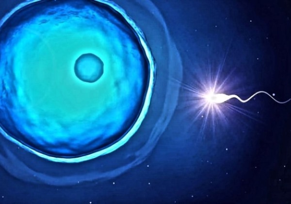 Ejacular com frequência ajuda a reduzir o risco de câncer de próstata, diz pesquisador