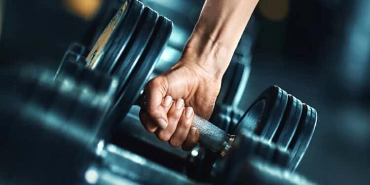 Musculação: saiba quanto tempo leva para os primeiros resultados da academia chegarem