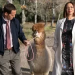 ‘Fortuna’: Ostentação em série sobre bilionários choca até mesmo a produção
