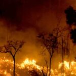 Em chamas: Amazônia atinge novo recorde de queimadas no governo Lula
