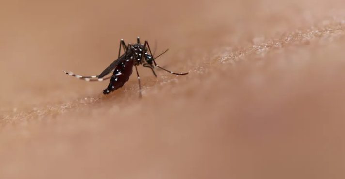 Brasil supera a marca de 2 mil mortes por dengue em 2024