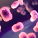 EUA alertam para infecção mortal que está ressurgindo; Entenda